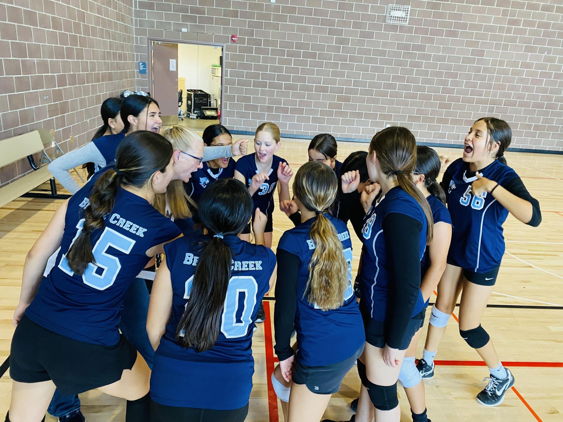 girls volleyball team