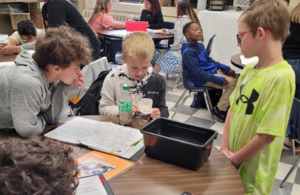 muddy water experiment