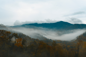 Mountains