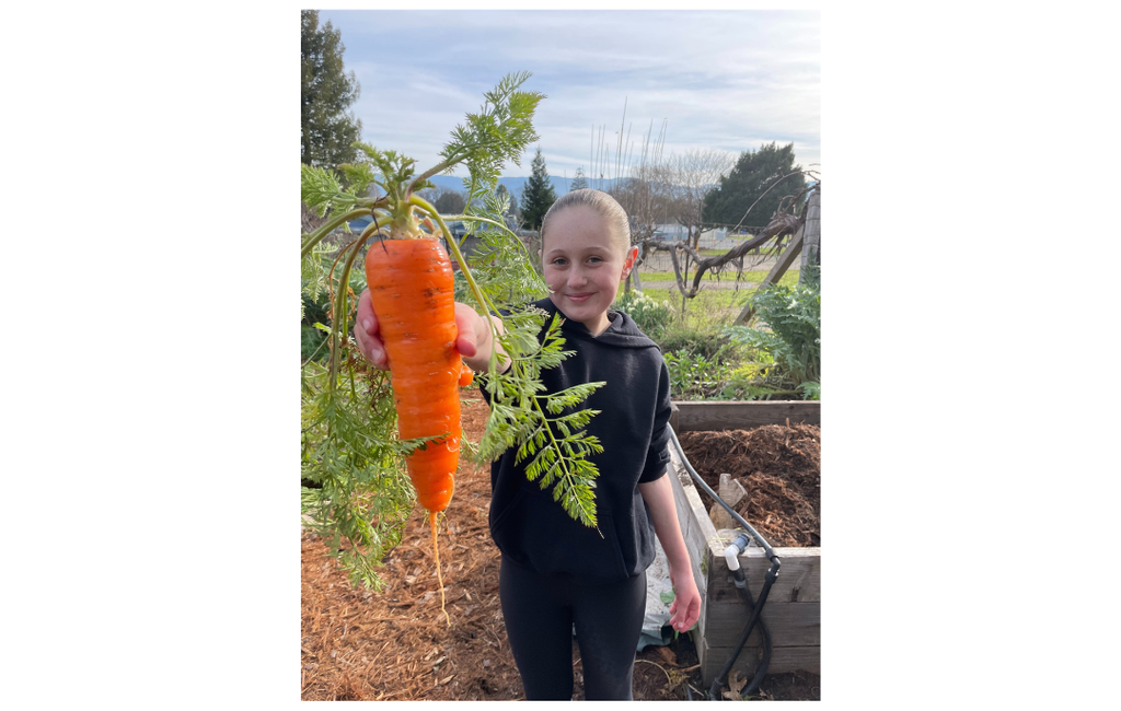 A girl holding a carrot in the garden