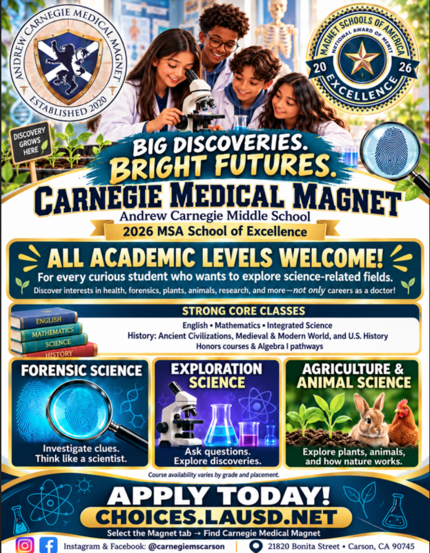 med mag flyer