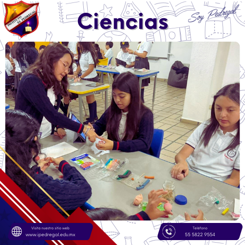 Una forma divertida y didáctica de aprender Featured Photo