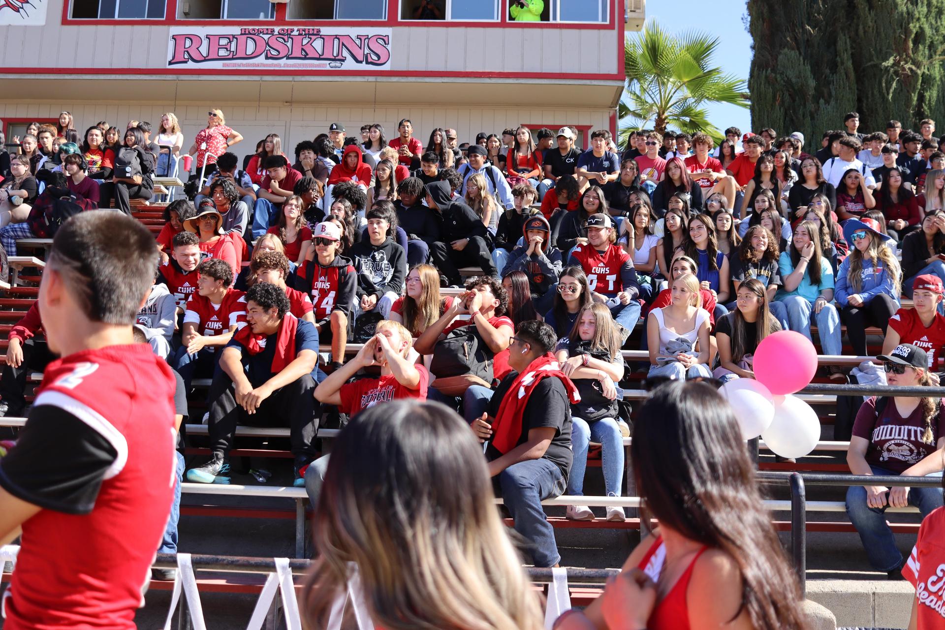 students and staff at the homecoming rally