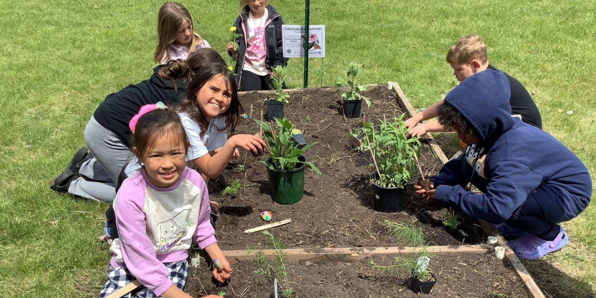Children gardening together in a raised bed with plants on a sunny day.