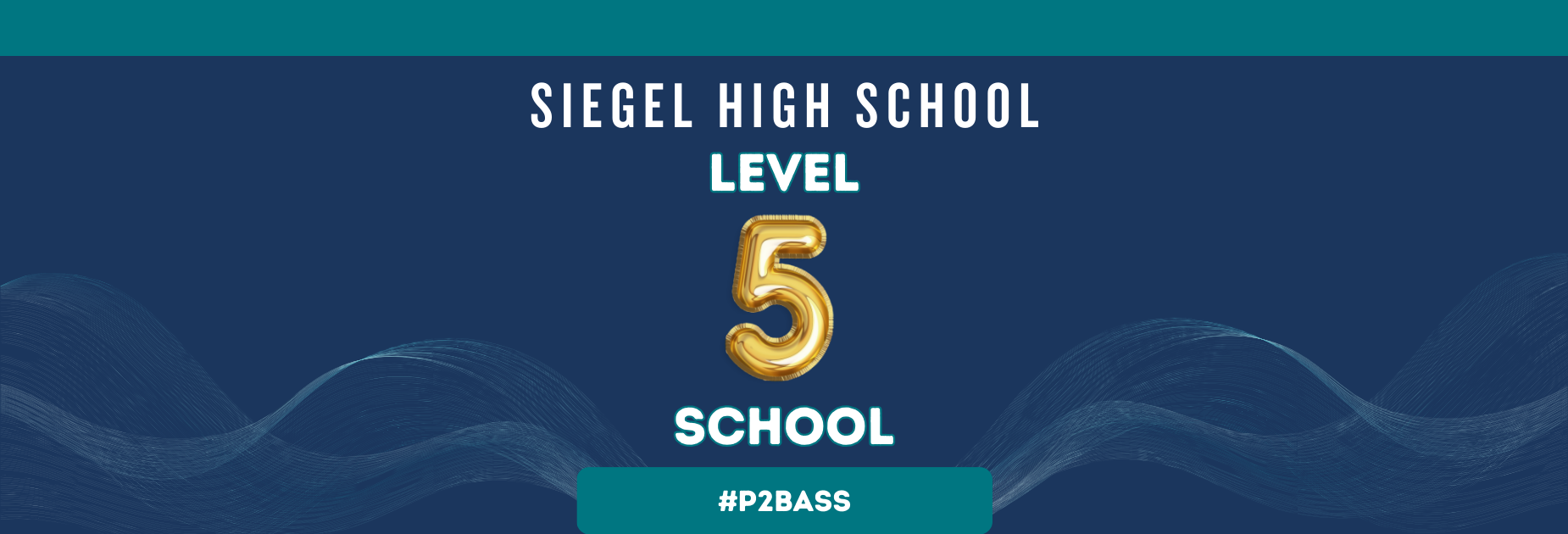 Level 5 School