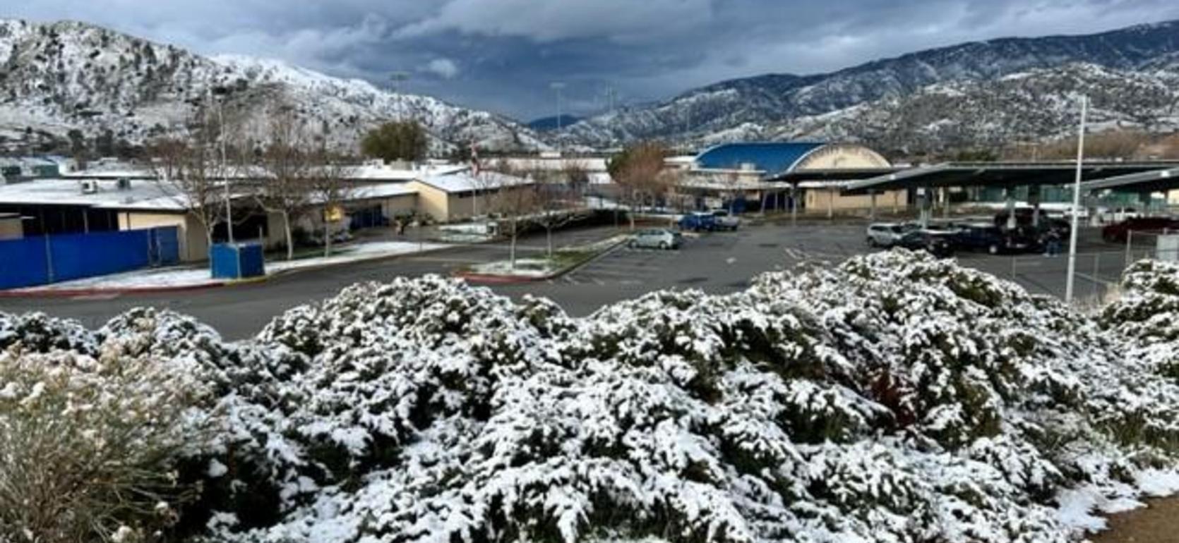 Snow-covered bushes in foreground with a view of a school and mountains in the background.