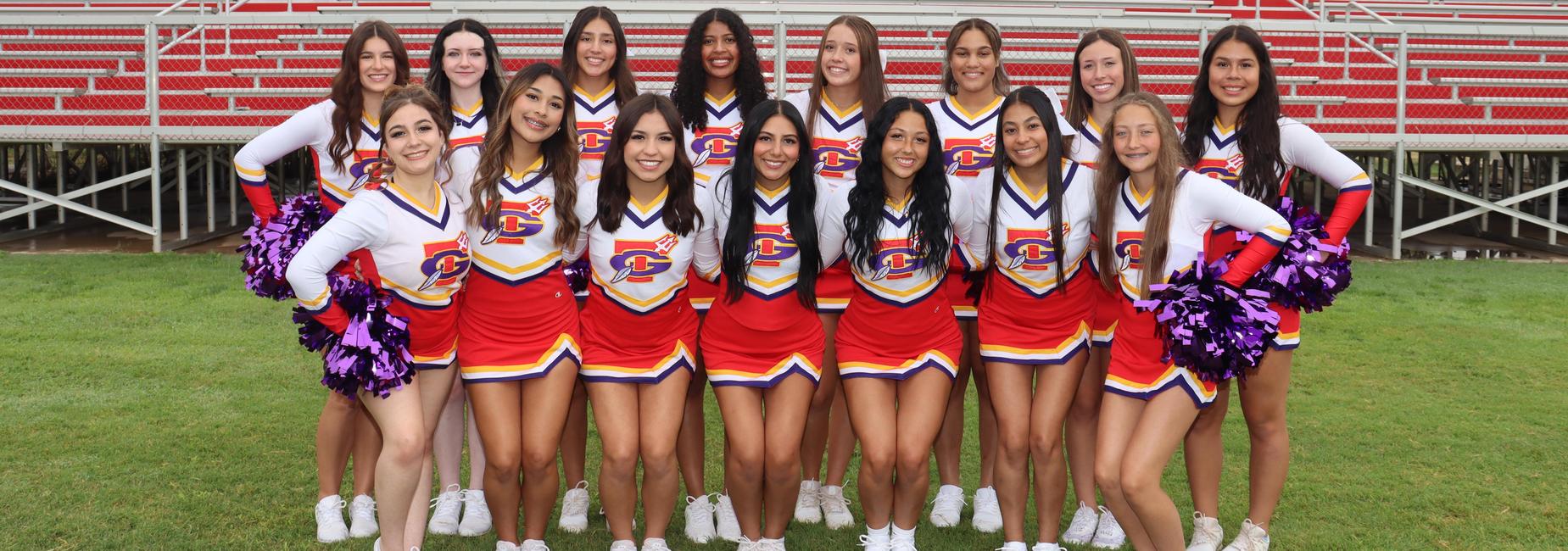Cheerleading squad posing together in colorful uniforms with pompoms on a sports field.