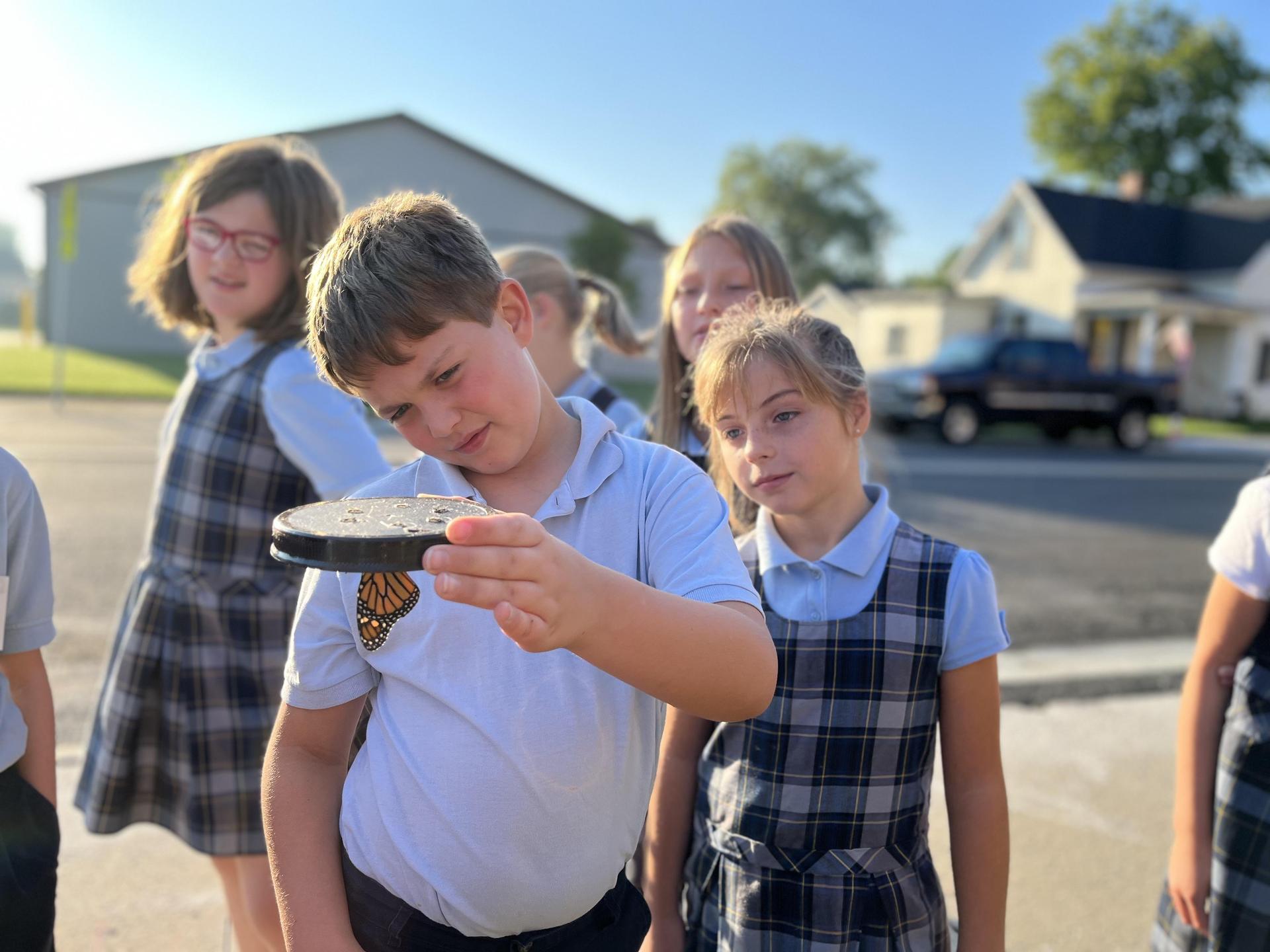 Students observing a butterfly that just came out of a coccoon.