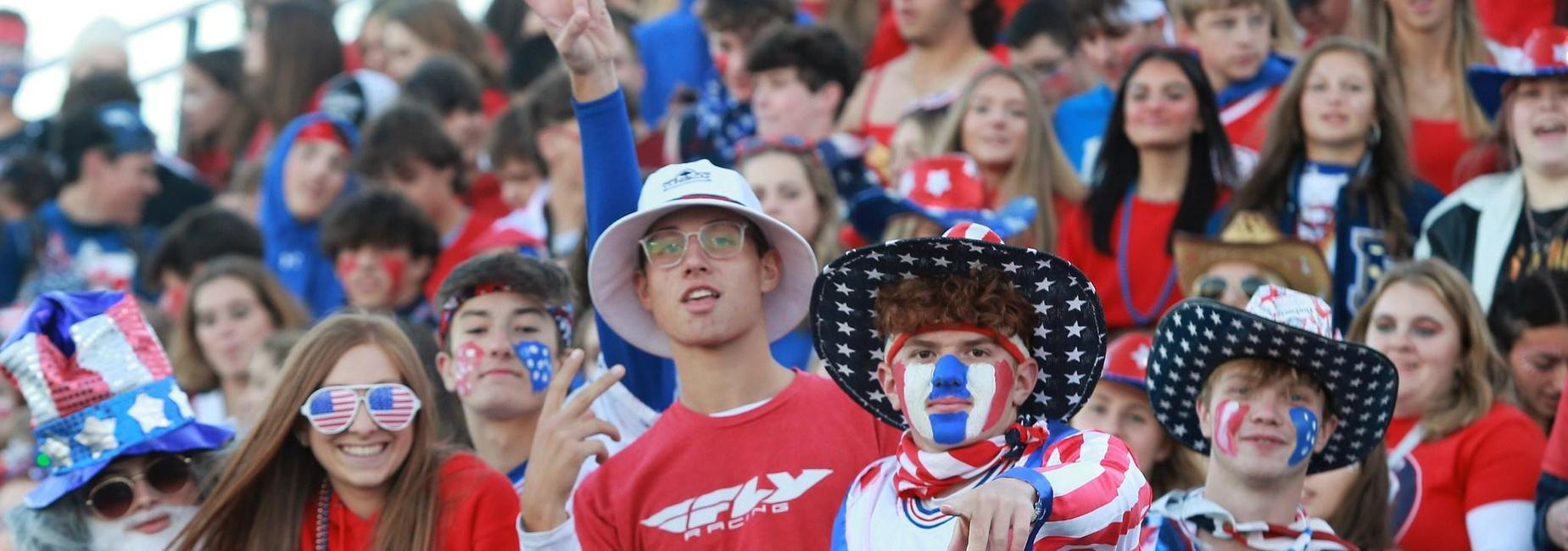 fans at game