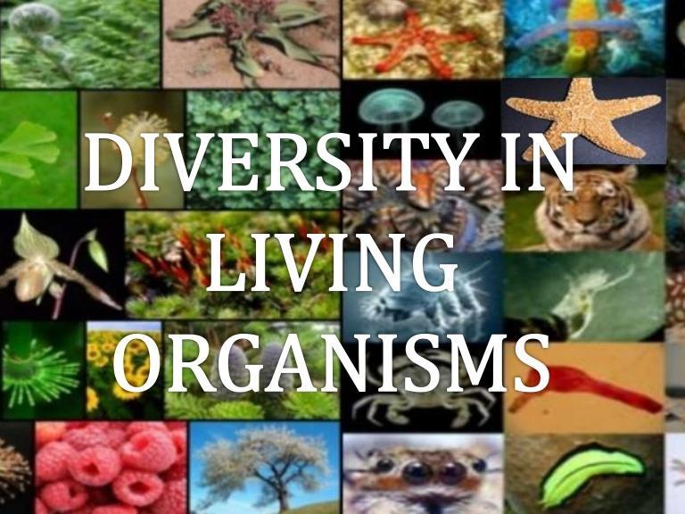 Organisms