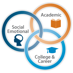 Academic, Career, Social/Emotional Domains