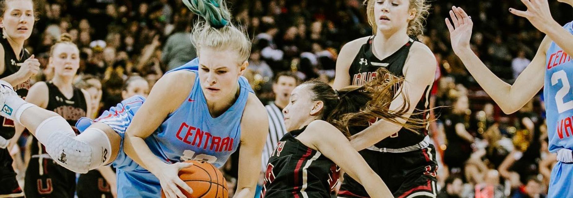 bear basketball