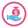 Budget Icon