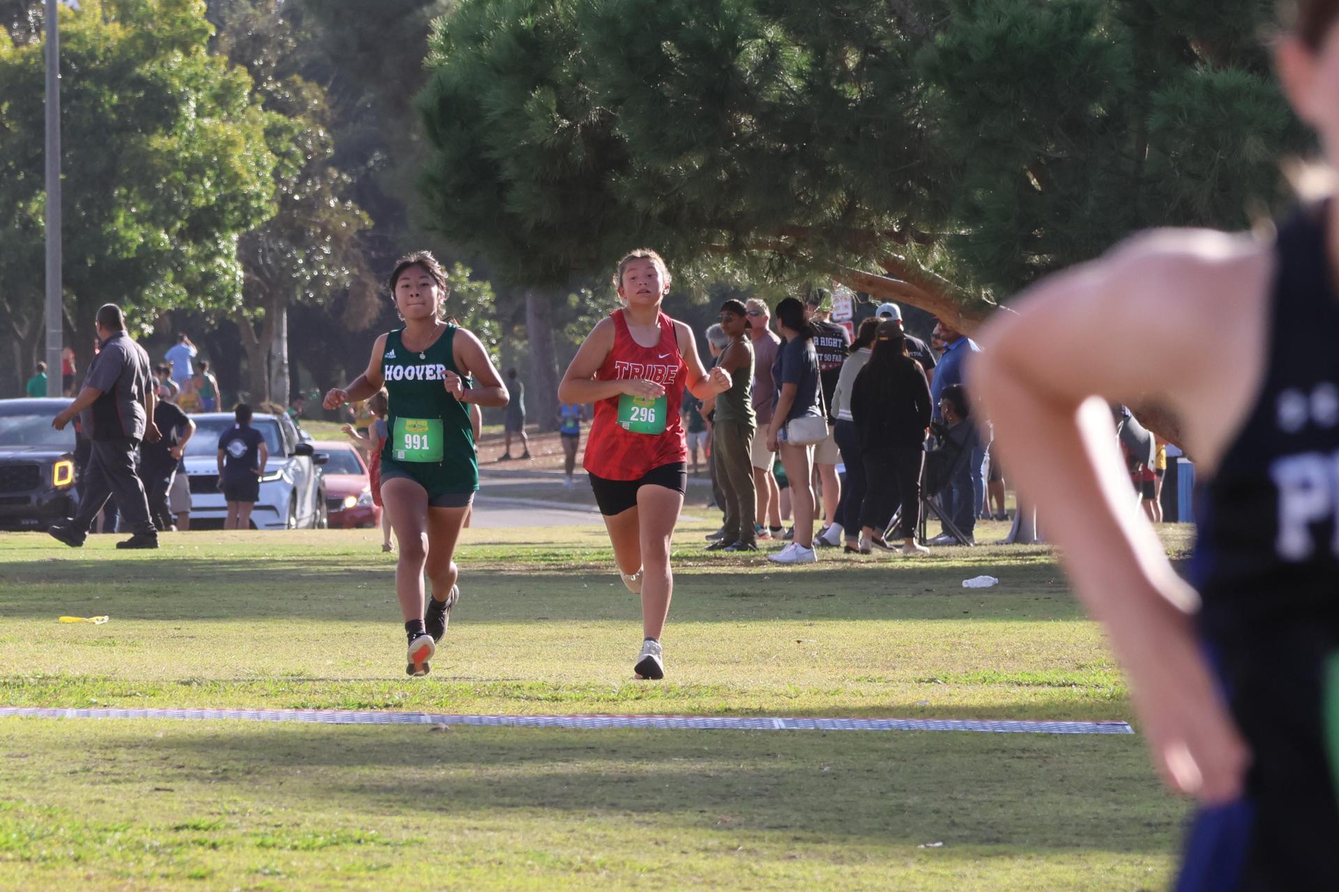 cross country runners in action