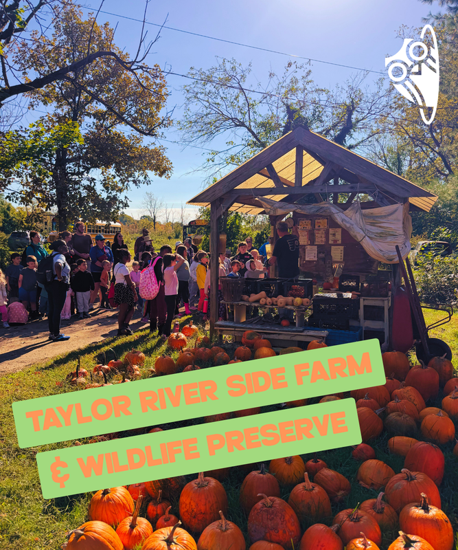 Connecting with Nature: Westfield explores Taylor's Farm!