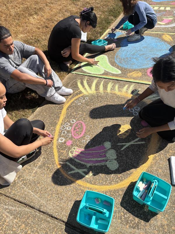 Group of students working on sidewalk art of the cell