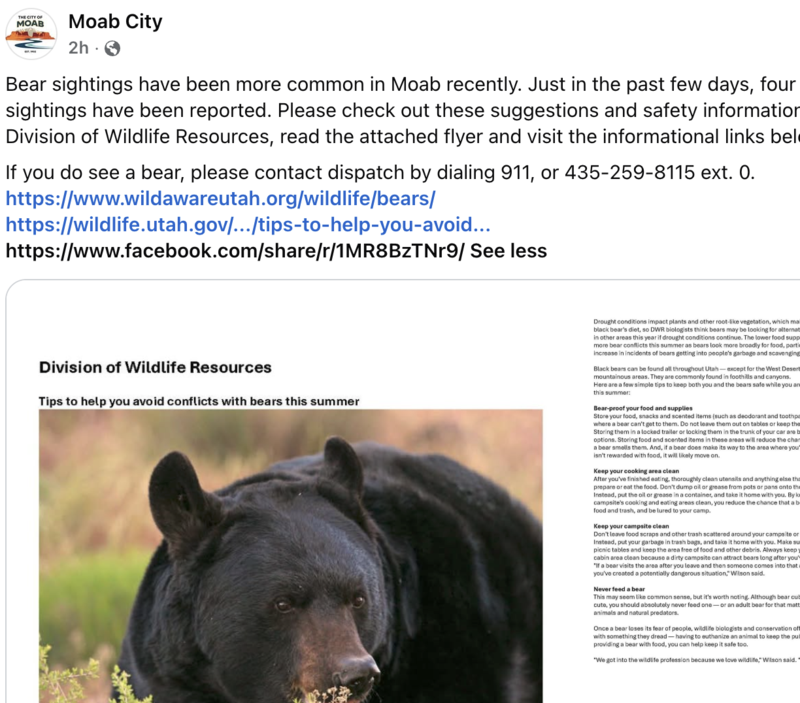 “Bear Sighting” advisement from Moab Police Department and Department of Wildlife Services Featured Photo