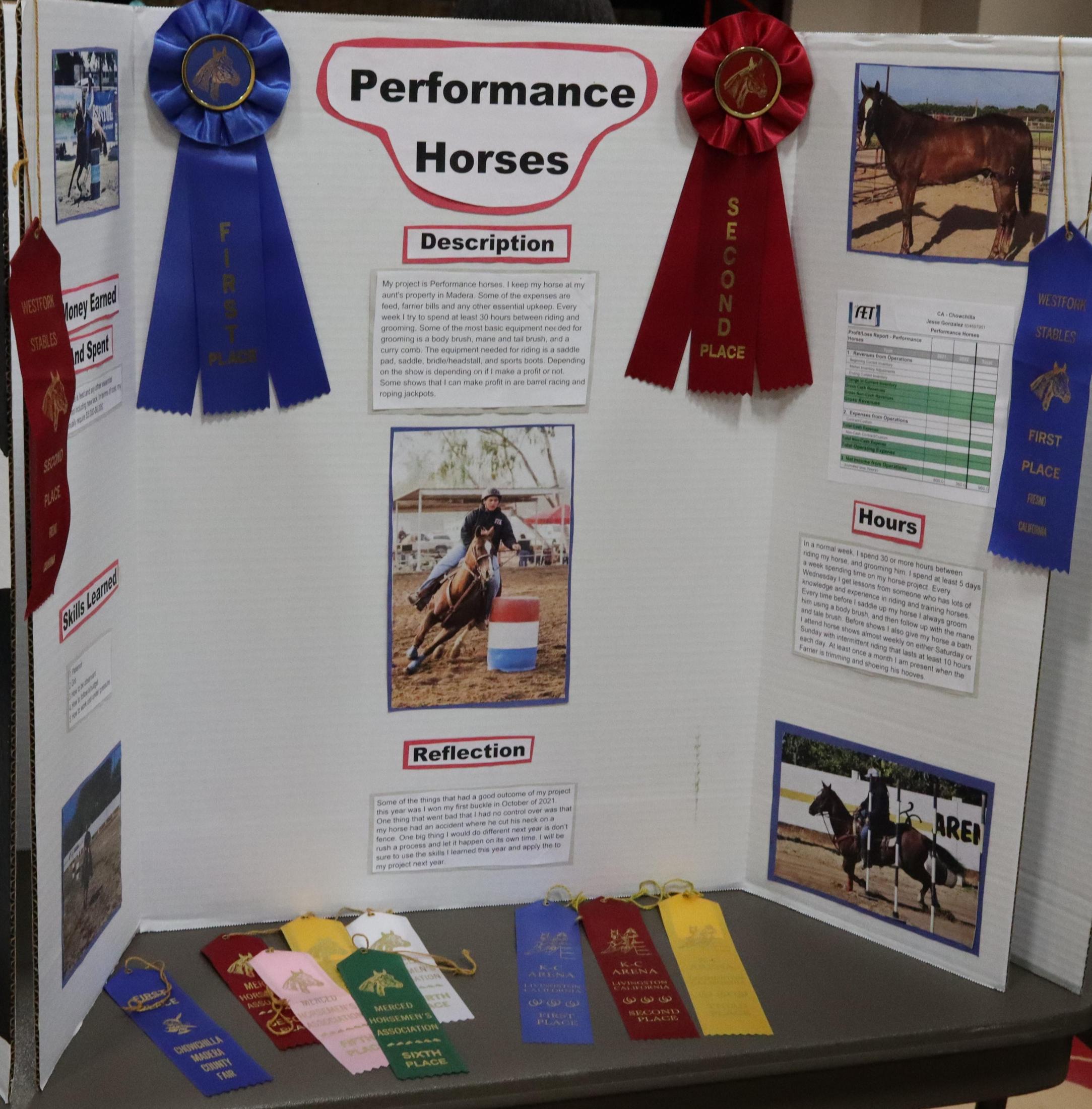 A Supervised Agricultural Experience trifold display