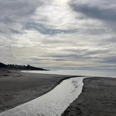 CaitlinVigil's Profile Photo