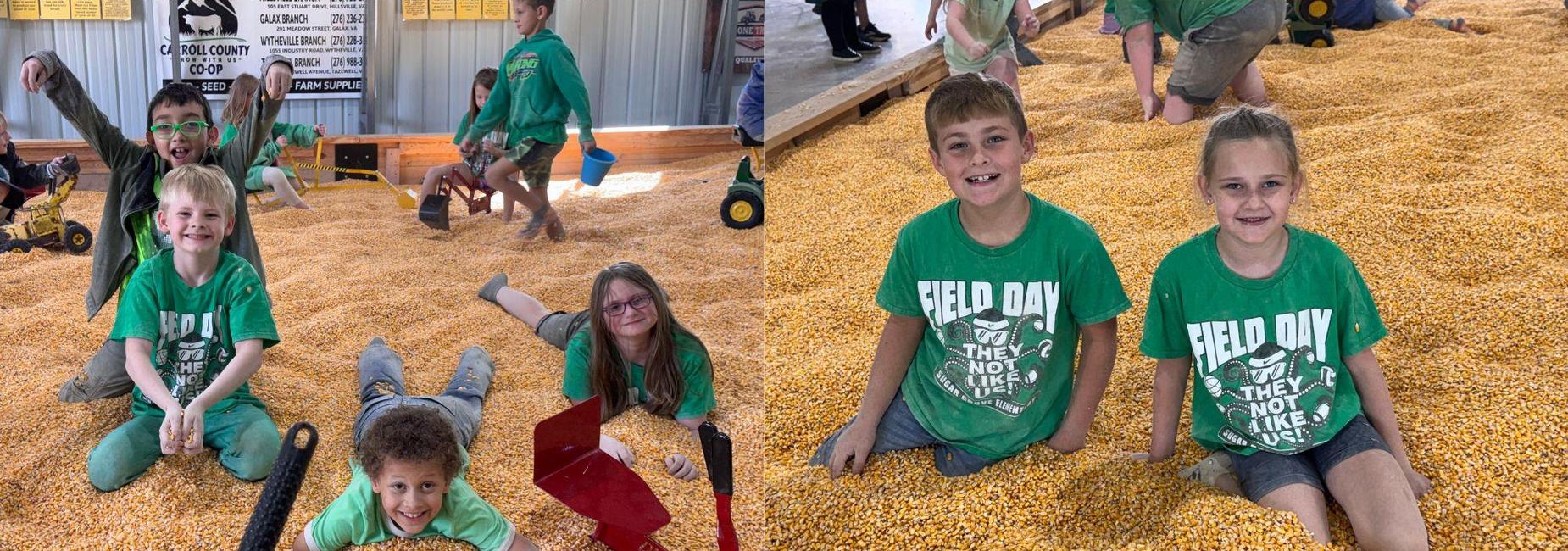 Students playing in the Corn Bin at Richdale Farms