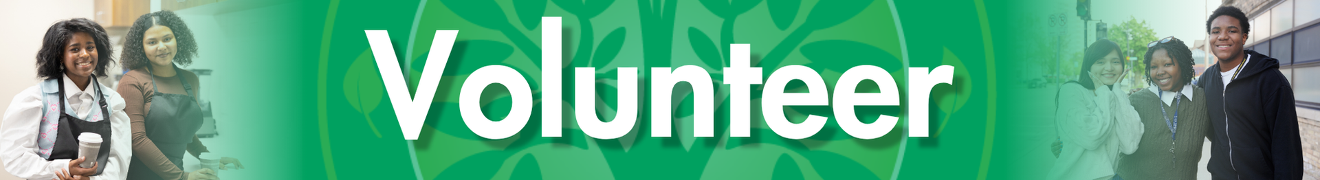 Volunteer Title heading