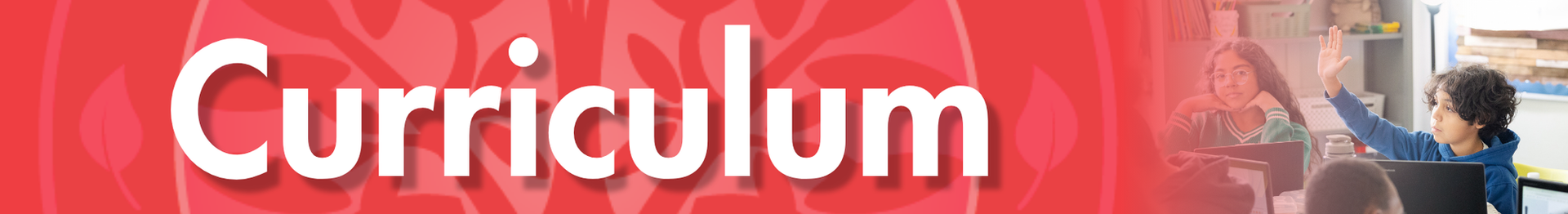 Curriculum Title Heading
