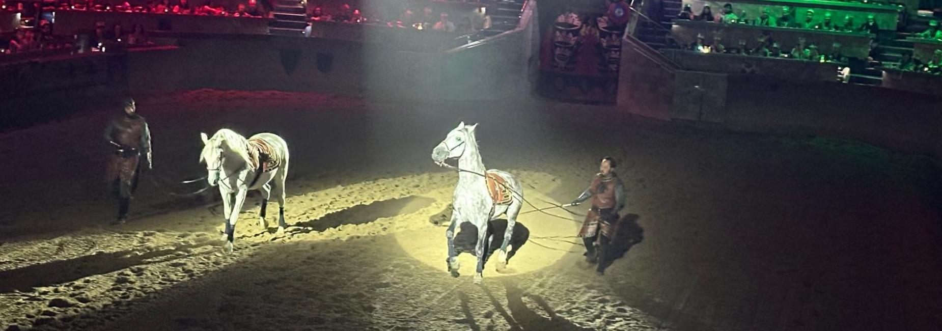 Medieval Times