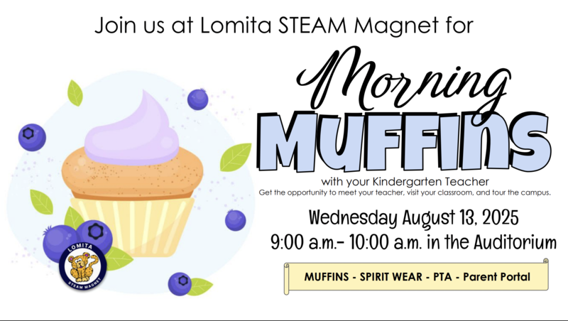 Morning Muffins