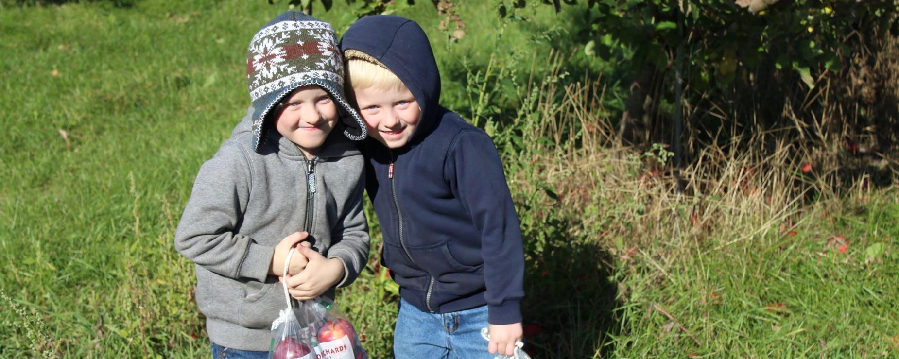 Two boys at Banker's Orchard picking apples.