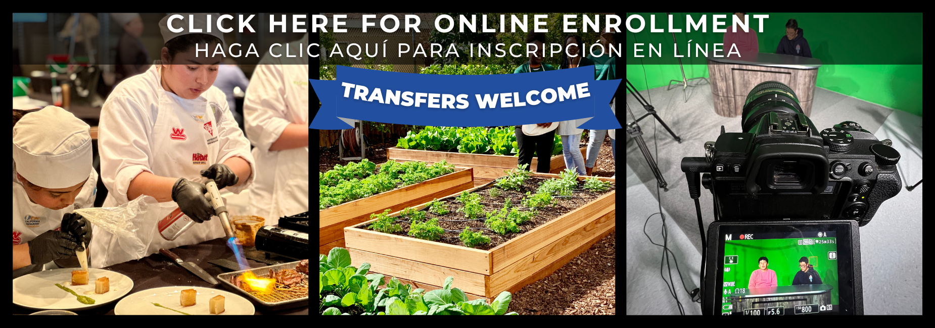 Click here for online enrollment