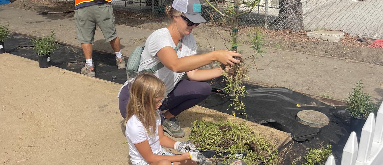 A woman and a girl planting seedlings in a garden bed.