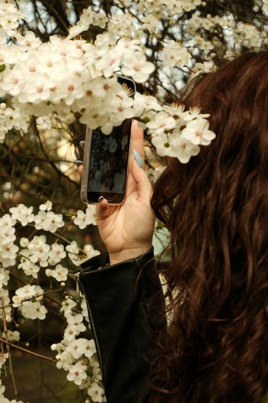 woman taking picture of spring flowers