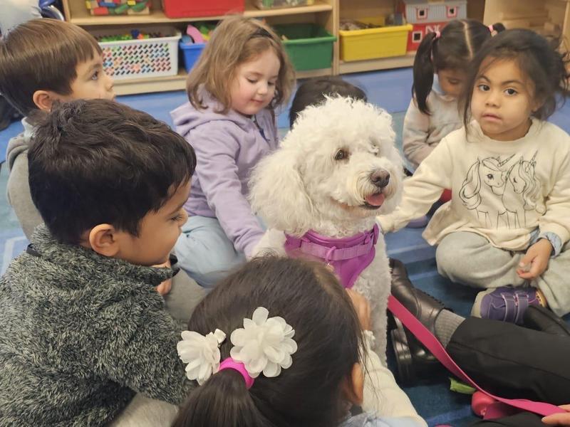 A group of children interacting with a white dog in a classroom setting.