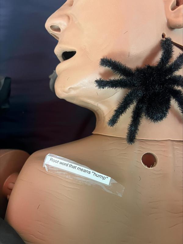 close up of mannequin dummy with spider in the haunted escape room classroom