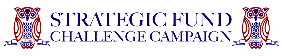 Strategic Fund Challenge Campaign