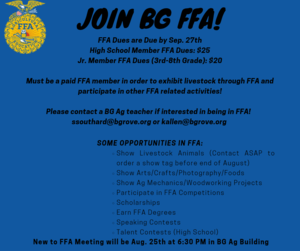 FFA Flyer.png