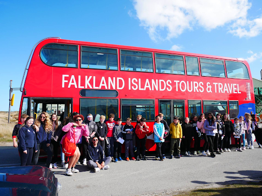 bus