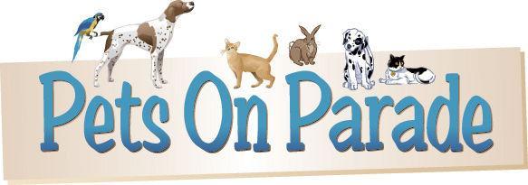Let's Have a Pet Parade! Featured Photo