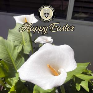 Easter post_website.jpg