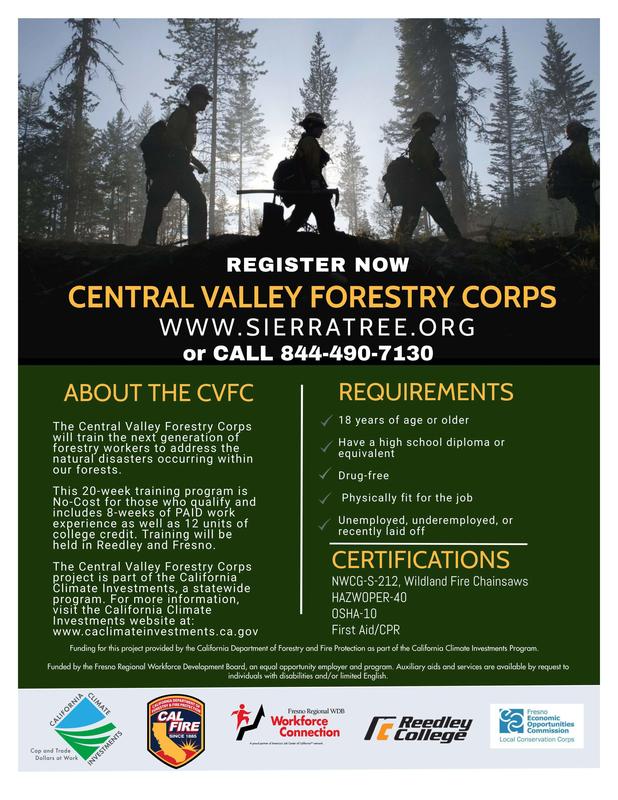 Central Valley Forestry Corps Flier