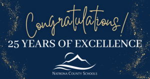 Congratulations 25 years of excellence icon