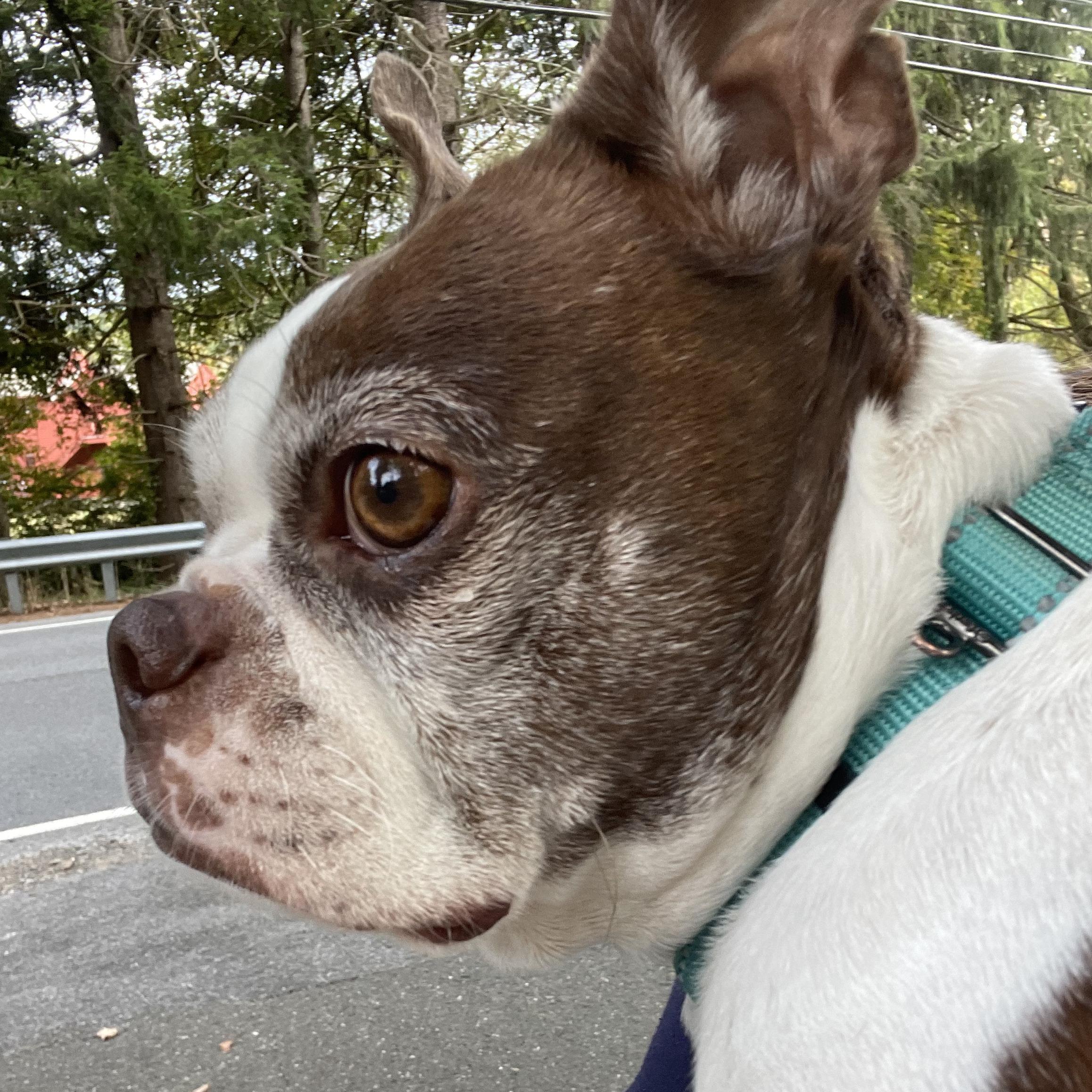 HollyIves's Profile Photo