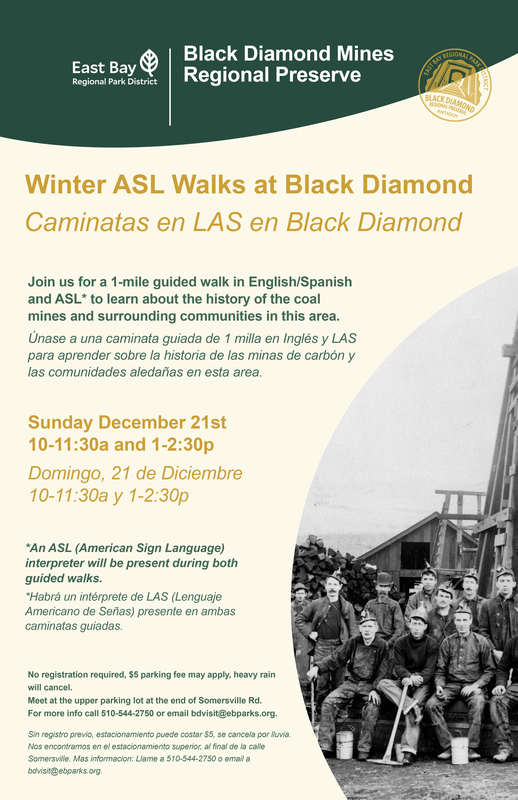 Two different times for the walks