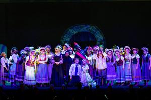 The cast of Young Frankenstein