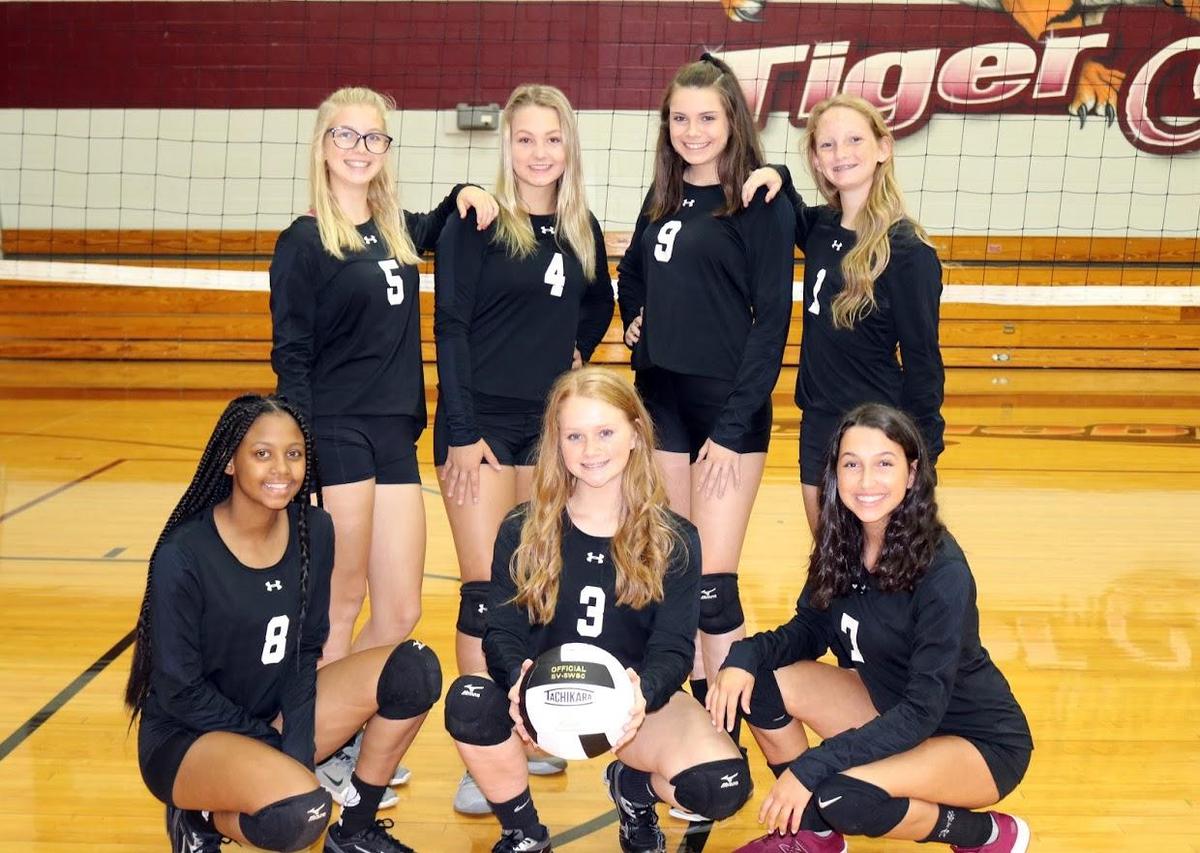 JVA Volleyball