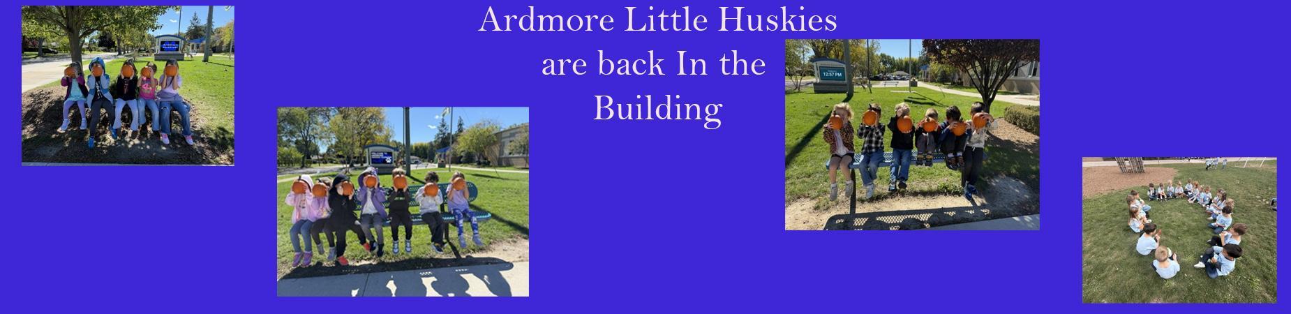 Ardmore Little huskies