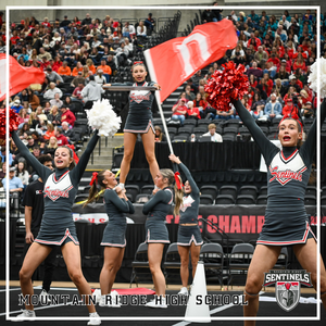 SENTINEL SPIRIT SHINES AT THE STATE CHAMPIONSHIPS