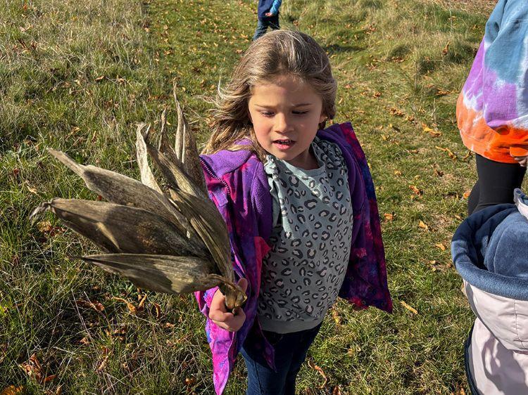 An Early Childhood Center student examines a dried corn husk on her Wonder Walk.