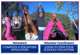 Volunteer Application Link Screen