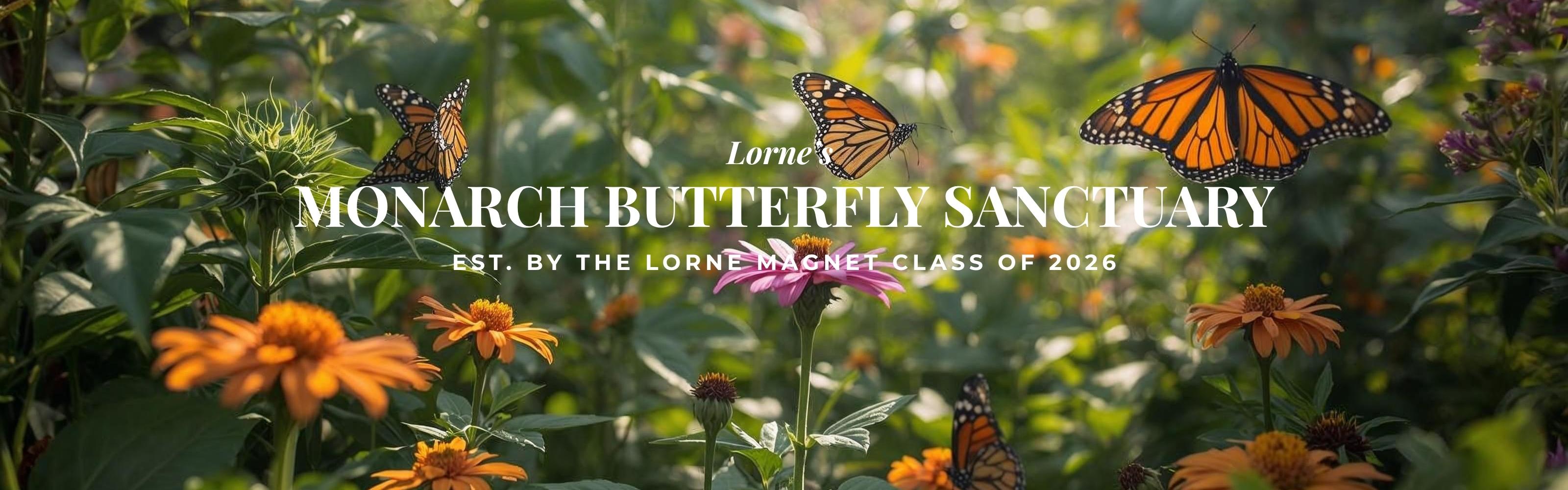 Lorne Monarch Butterfly Sanctuary Header